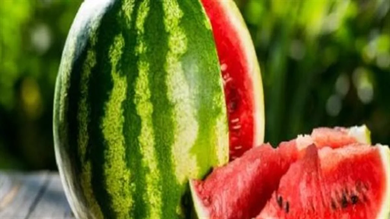 توقيت مثالي.. فاعلية تناول البطيخ في تعزيز خطة فقدان الوزن بسرعة